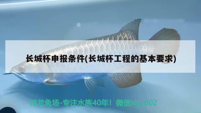 長城杯申報條件(長城杯工程的基本要求) 2025第29屆中國國際寵物水族展覽會CIPS（長城寵物展2025 CIPS）