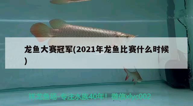 龍魚大賽冠軍(2021年龍魚比賽什么時(shí)候)