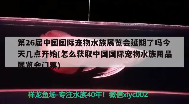 第26屆中國(guó)國(guó)際寵物水族展覽會(huì)延期了嗎今天幾點(diǎn)開始(怎么獲取中國(guó)國(guó)際寵物水族用品展覽會(huì)門票) 水族展會(huì)