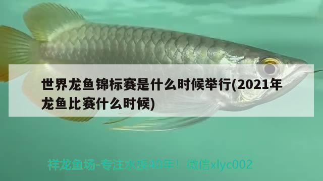 世界龍魚錦標(biāo)賽是什么時(shí)候舉行(2021年龍魚比賽什么時(shí)候) 2024第28屆中國(guó)國(guó)際寵物水族展覽會(huì)CIPS（長(zhǎng)城寵物展2024 CIPS）