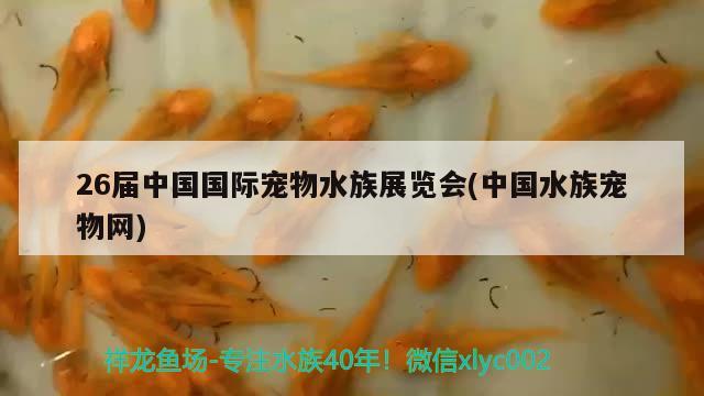 26屆中國(guó)國(guó)際寵物水族展覽會(huì)(中國(guó)水族寵物網(wǎng))