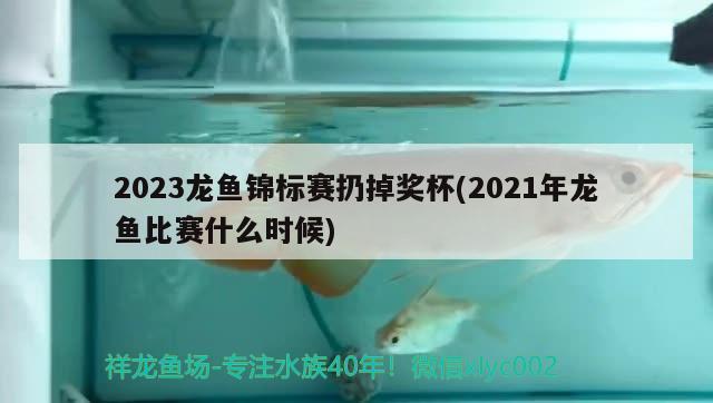 2023龍魚錦標賽扔掉獎杯(2021年龍魚比賽什么時候)