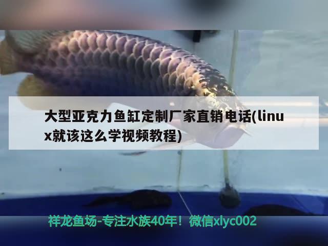 大型亞克力魚缸定制廠家直銷電話(linux就該這么學(xué)視頻教程)