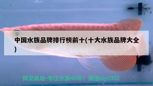 中國(guó)水族品牌排行榜前十(十大水族品牌大全) 水族品牌