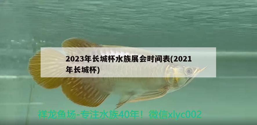 2023年長(zhǎng)城杯水族展會(huì)時(shí)間表(2021年長(zhǎng)城杯)