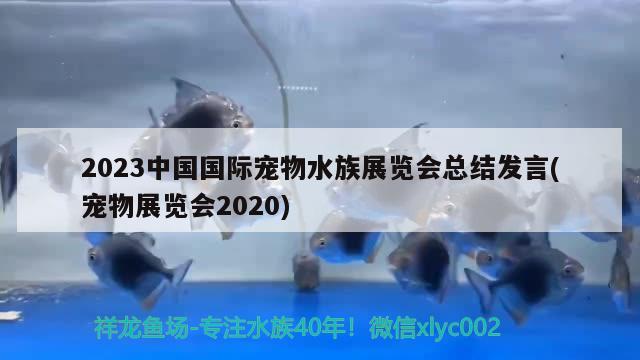 2023中國國際寵物水族展覽會總結(jié)發(fā)言(寵物展覽會2020) 水族展會