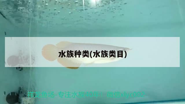 水族種類(lèi)(水族類(lèi)目) 2024第28屆中國(guó)國(guó)際寵物水族展覽會(huì)CIPS（長(zhǎng)城寵物展2024 CIPS）