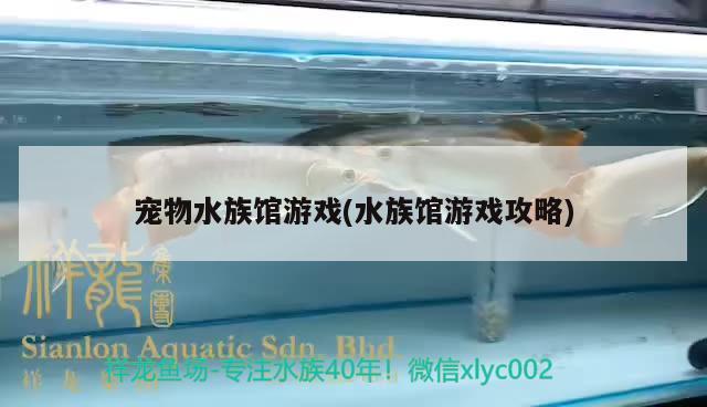 寵物水族館游戲(水族館游戲攻略) 2024第28屆中國國際寵物水族展覽會CIPS（長城寵物展2024 CIPS）