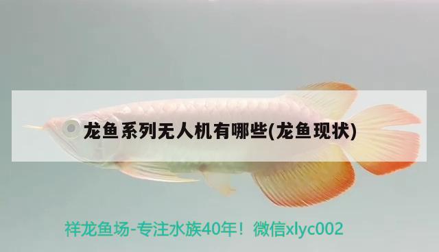 龍魚系列無(wú)人機(jī)有哪些(龍魚現(xiàn)狀)