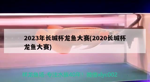 2023年長城杯龍魚大賽(2020長城杯龍魚大賽)