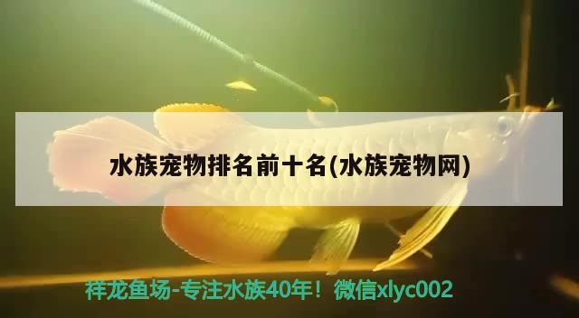 水族寵物排名前十名(水族寵物網(wǎng)) 2024第28屆中國國際寵物水族展覽會CIPS（長城寵物展2024 CIPS）