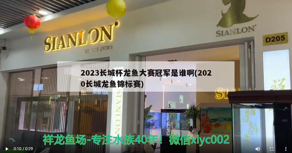 2023長城杯龍魚大賽冠軍是誰啊(2020長城龍魚錦標賽)