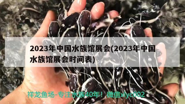 2023年中國(guó)水族館展會(huì)(2023年中國(guó)水族館展會(huì)時(shí)間表)