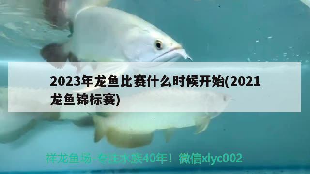 2023年龍魚比賽什么時(shí)候開始(2021龍魚錦標(biāo)賽) 2024第28屆中國(guó)國(guó)際寵物水族展覽會(huì)CIPS（長(zhǎng)城寵物展2024 CIPS）