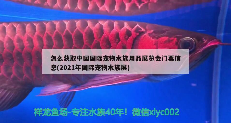 怎么獲取中國國際寵物水族用品展覽會(huì)門票信息(2021年國際寵物水族展) 水族展會(huì)