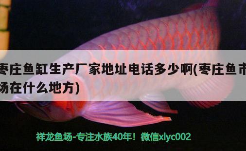 棗莊魚缸生產(chǎn)廠家地址電話多少啊(棗莊魚市場在什么地方)