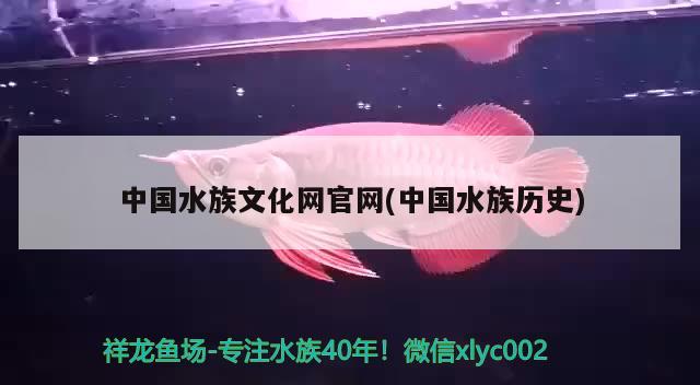 中國(guó)水族文化網(wǎng)官網(wǎng)(中國(guó)水族歷史) 2024第28屆中國(guó)國(guó)際寵物水族展覽會(huì)CIPS（長(zhǎng)城寵物展2024 CIPS）