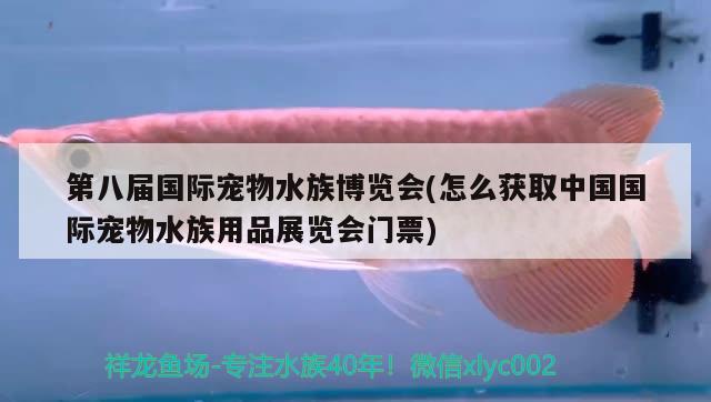 第八屆國際寵物水族博覽會(怎么獲取中國國際寵物水族用品展覽會門票) 水族用品