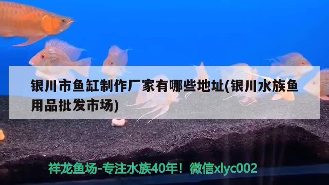 銀川市魚缸制作廠家有哪些地址(銀川水族魚用品批發(fā)市場) 南美異形觀賞魚