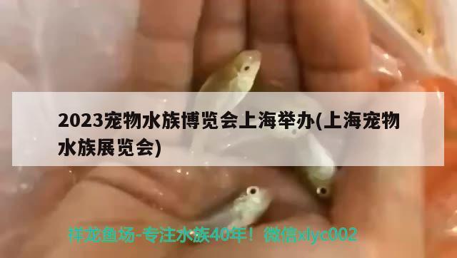 2023寵物水族博覽會上海舉辦(上海寵物水族展覽會)