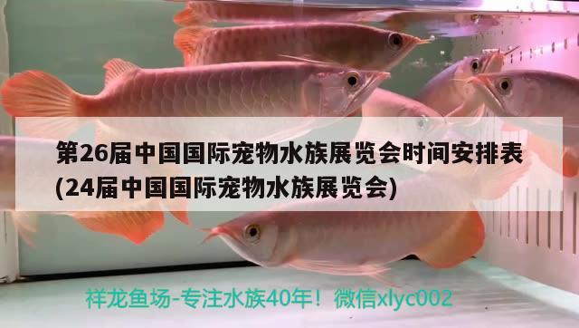 第26屆中國國際寵物水族展覽會時(shí)間安排表(24屆中國國際寵物水族展覽會)