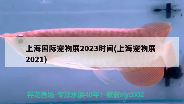 上海國(guó)際寵物展2023時(shí)間(上海寵物展2021)