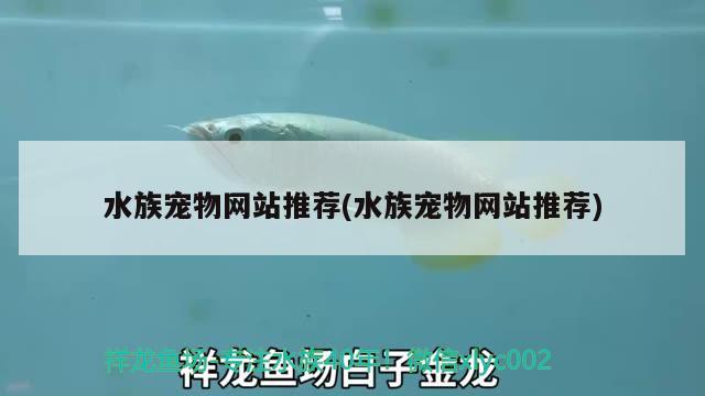 水族寵物網(wǎng)站推薦(水族寵物網(wǎng)站推薦)