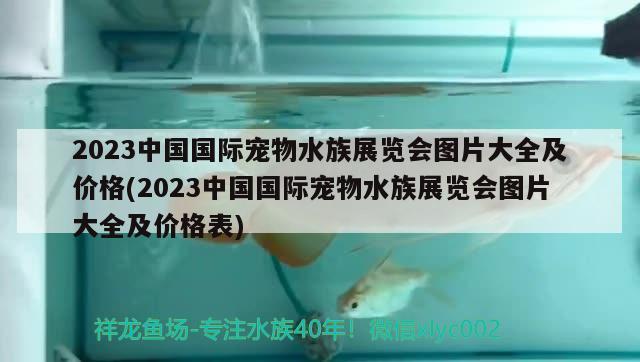 2023中國(guó)國(guó)際寵物水族展覽會(huì)圖片大全及價(jià)格(2023中國(guó)國(guó)際寵物水族展覽會(huì)圖片大全及價(jià)格表)