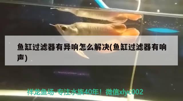 魚缸過濾器有異響怎么解決(魚缸過濾器有響聲) 錦鯉魚百科