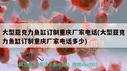 大型亞克力魚缸訂制重慶廠家電話(大型亞克力魚缸訂制重慶廠家電話多少)