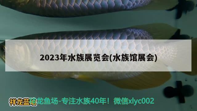 2023年水族展覽會(水族館展會)