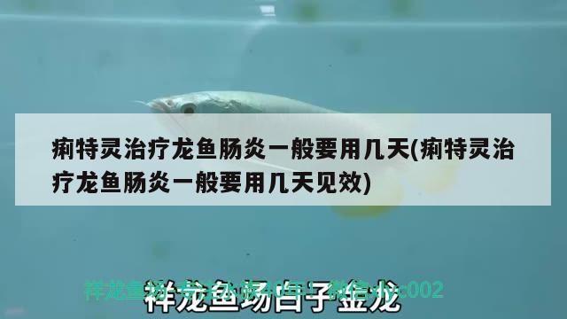 痢特靈治療龍魚腸炎一般要用幾天(痢特靈治療龍魚腸炎一般要用幾天見效) 2024第28屆中國國際寵物水族展覽會CIPS（長城寵物展2024 CIPS）