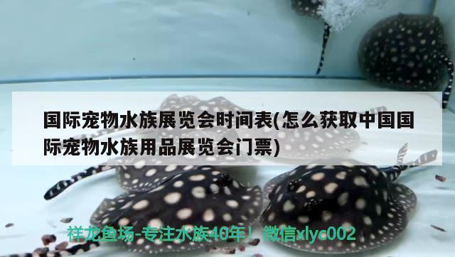 國際寵物水族展覽會(huì)時(shí)間表(怎么獲取中國國際寵物水族用品展覽會(huì)門票)