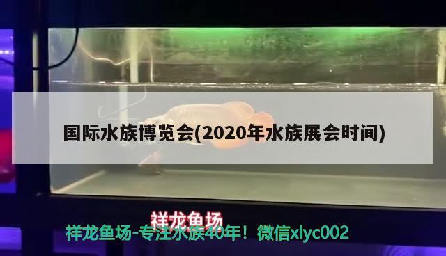 國際水族博覽會(huì)(2020年水族展會(huì)時(shí)間)