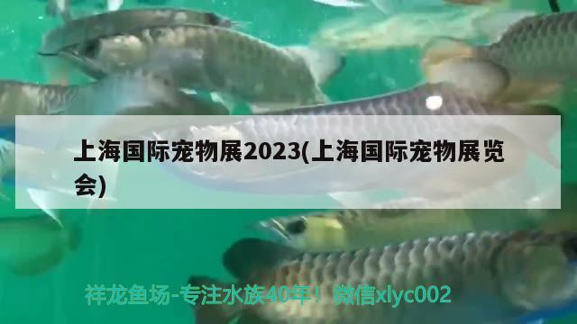 上海國(guó)際寵物展2023(上海國(guó)際寵物展覽會(huì)) 2024第28屆中國(guó)國(guó)際寵物水族展覽會(huì)CIPS（長(zhǎng)城寵物展2024 CIPS）