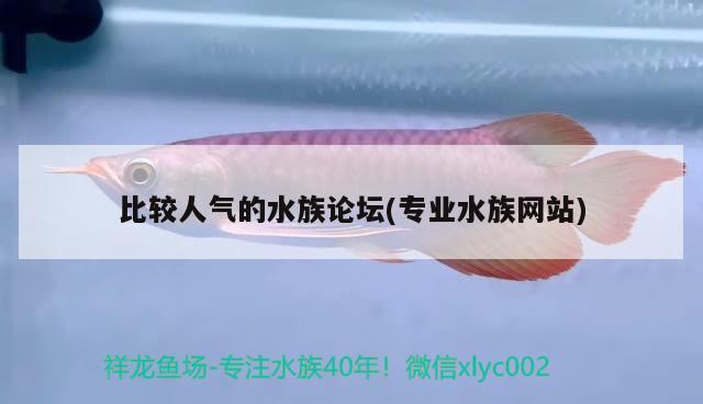 比較人氣的水族論壇(專業(yè)水族網(wǎng)站) 2024第28屆中國國際寵物水族展覽會CIPS（長城寵物展2024 CIPS）