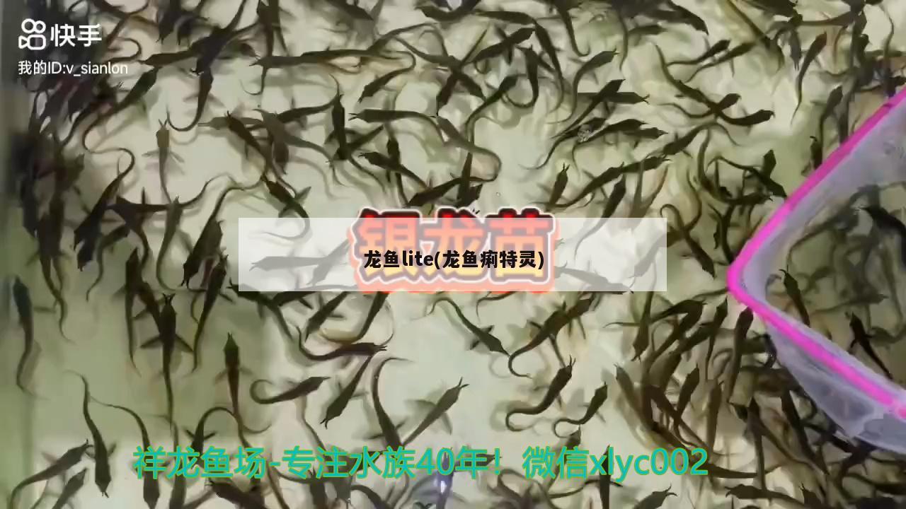 龍魚lite(龍魚痢特靈)