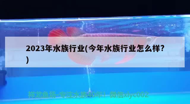 2023年水族行業(yè)(今年水族行業(yè)怎么樣?) 2024第28屆中國國際寵物水族展覽會CIPS（長城寵物展2024 CIPS）