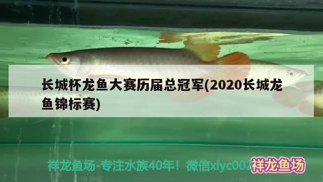 長城杯龍魚大賽歷屆總冠軍(2020長城龍魚錦標(biāo)賽) 2024第28屆中國國際寵物水族展覽會CIPS（長城寵物展2024 CIPS）