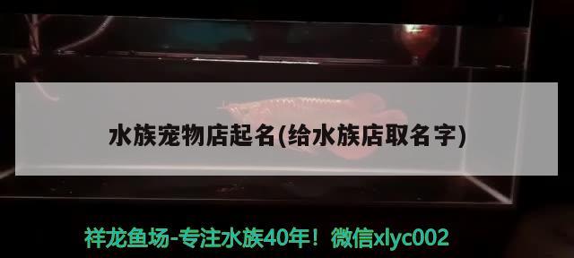 水族寵物店起名(給水族店取名字) 2025第29屆中國國際寵物水族展覽會CIPS（長城寵物展2025 CIPS）