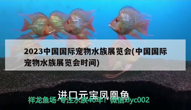 2023中國(guó)國(guó)際寵物水族展覽會(huì)(中國(guó)國(guó)際寵物水族展覽會(huì)時(shí)間) 水族展會(huì)