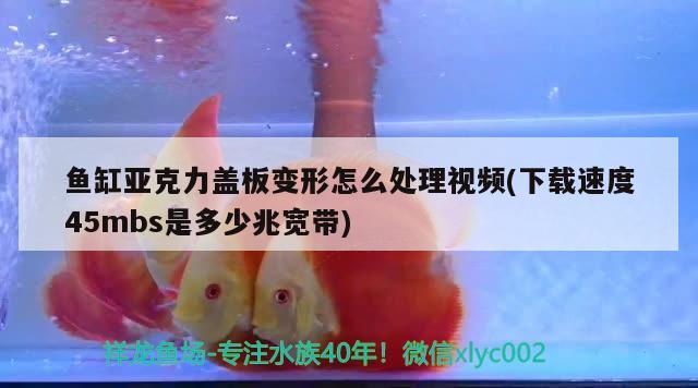 魚缸亞克力蓋板變形怎么處理視頻(下載速度45mbs是多少兆寬帶)