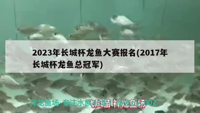 2023年長(zhǎng)城杯龍魚大賽報(bào)名(2017年長(zhǎng)城杯龍魚總冠軍)