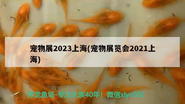 寵物展2023上海(寵物展覽會(huì)2021上海)