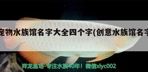 寵物水族館名字大全四個字(創(chuàng)意水族館名字)