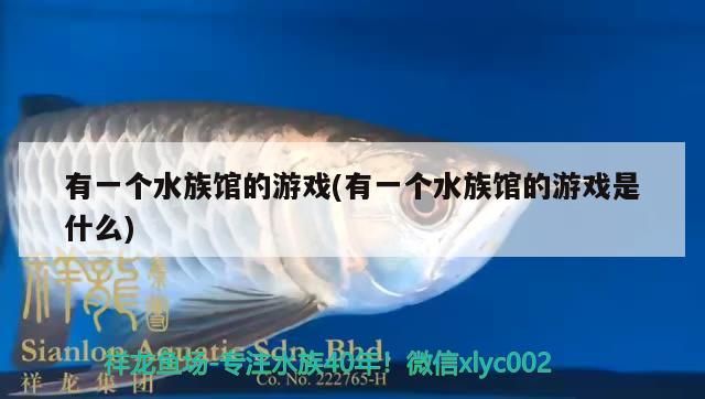 有一個(gè)水族館的游戲(有一個(gè)水族館的游戲是什么)