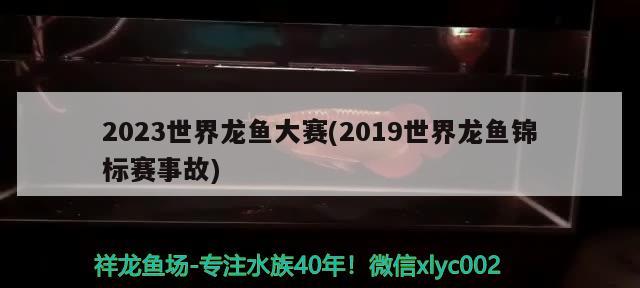 2023世界龍魚大賽(2019世界龍魚錦標賽事故) 2024第28屆中國國際寵物水族展覽會CIPS（長城寵物展2024 CIPS）