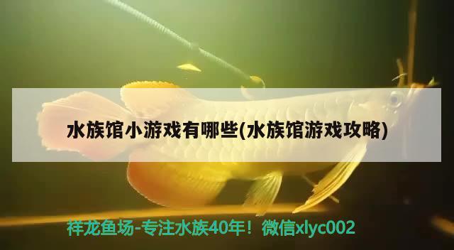 水族館小游戲有哪些(水族館游戲攻略) 2025第29屆中國國際寵物水族展覽會(huì)CIPS（長城寵物展2025 CIPS）