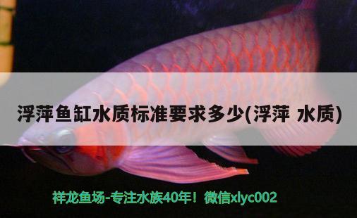 浮萍魚缸水質標準要求多少(浮萍水質)