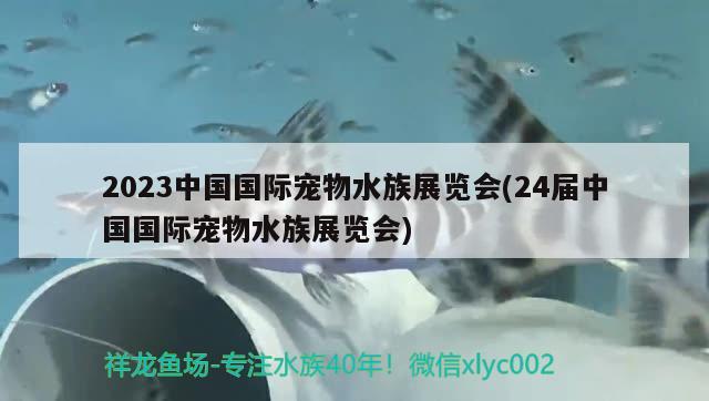 2023中國(guó)國(guó)際寵物水族展覽會(huì)(24屆中國(guó)國(guó)際寵物水族展覽會(huì)) 水族展會(huì)